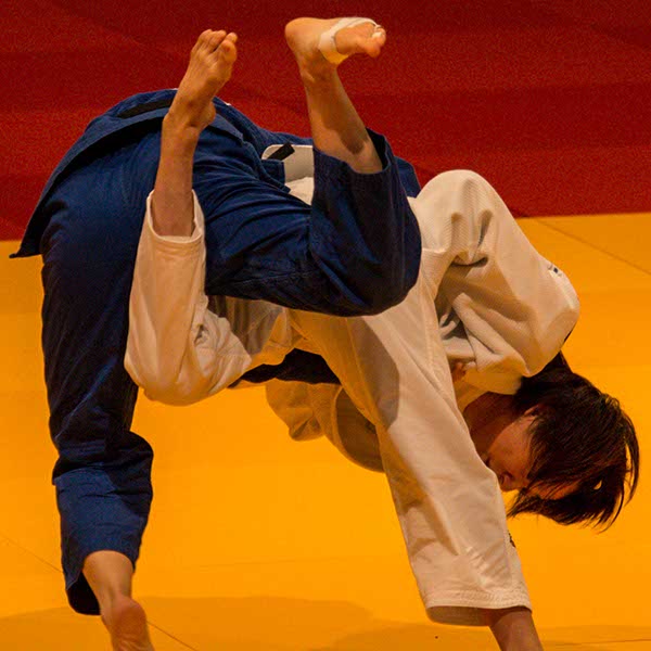 Judo-Grand-Prix_20160219_klein_003